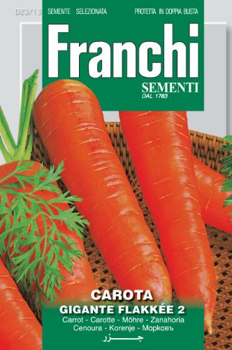 Franchi Carrot Gigante Flakkee