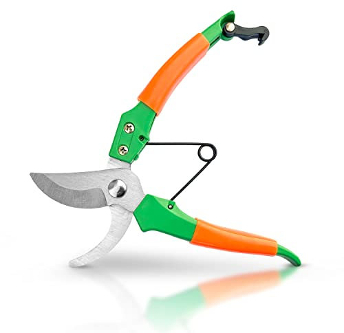 Sécateur de Jardin Lame franche de 19 cm | Poignées Ergonomiques | sécateur pour fleurs, branches, arbres fruitiers