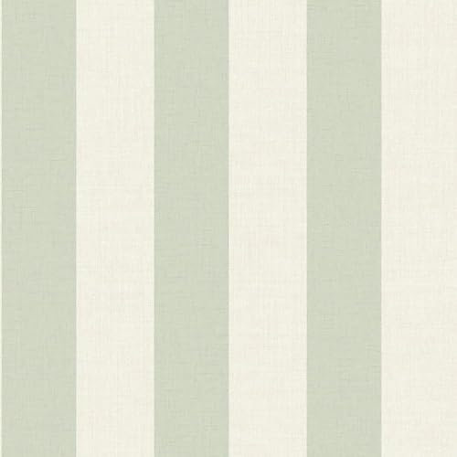 Maison Sage Green Striped Wallpaper - Trendy Stylish Modern Contemporary - Textured Paste The Wall Vinyl