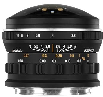 AstrHori 6mm F2.8 Full Frame Circular Fisheye Lens, 220° Ultra Wide Large Apeture Lens for Full-Frame L-Mount Mirrorless Cameras T TL TL2 CL, DC-S5 DC-S1H DC-S1R DC-S1 DC-BS1H an fp fp-L