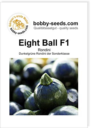 Eight Ball F1 Zucchinisamen von Bobby-Seeds, Portion