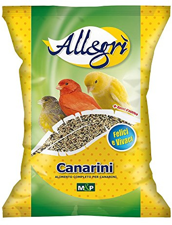Sementi Mangime Uccelli Canarino Mangime in semi per tutti i Canarini - 1 Kg