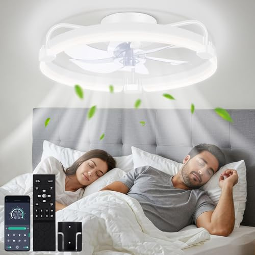 OUTON 50cm Ventilatore da Soffitto con Luce e Telecomando, Bianco