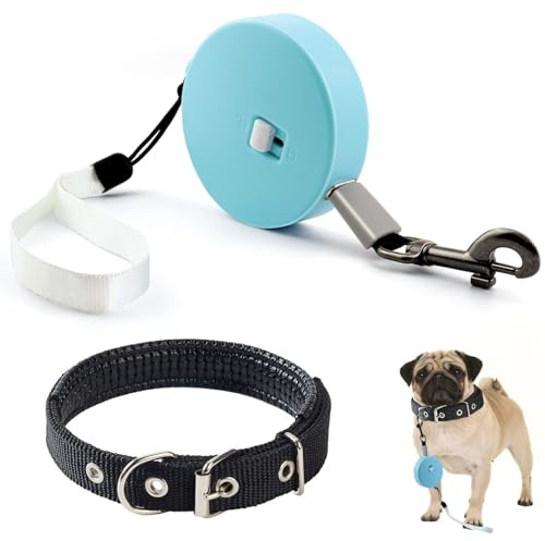 JNZLT Correa para gatos, 3 m/3 m, flexible, portátil, ajustable, automática, para perros pequeños, gatos, cachorros, conejos de hasta 5 kg (azul)