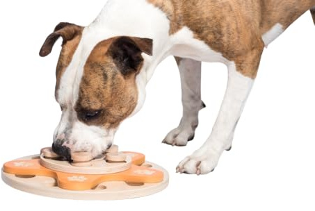 My Intelligent Pets Mid – HBL intelligenza Giocattolo per Cani Giocattolo intelligente per cani Distributore di Dolcetti Interattivo Giocattolo per Cuccioli, giochi di Attivazione Mentale per Cani