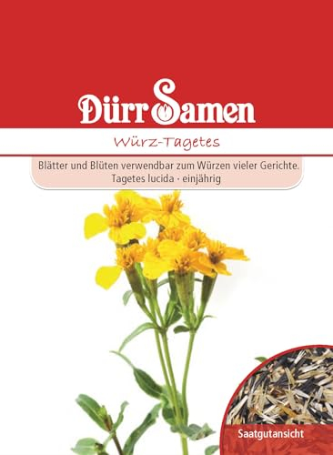 Würz Tagetes Samen Würztagetessamen ca 50 Korn Küchenkräuter Kräutersamen Saatgut Balkon Garten Hochbeet Kübel Dürr Samen