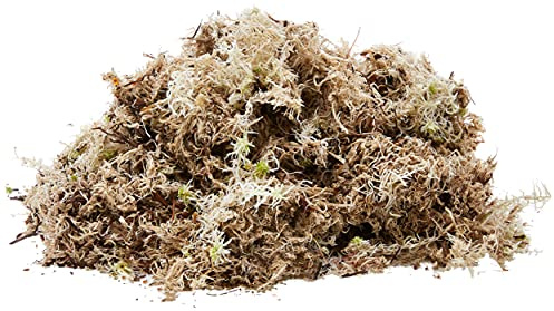 Komodo Habitat Moss, 1.5 Litre