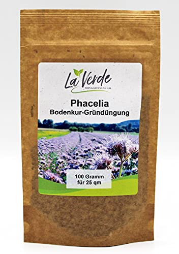Phacelia 100 Gramm Bodenkur/Samen