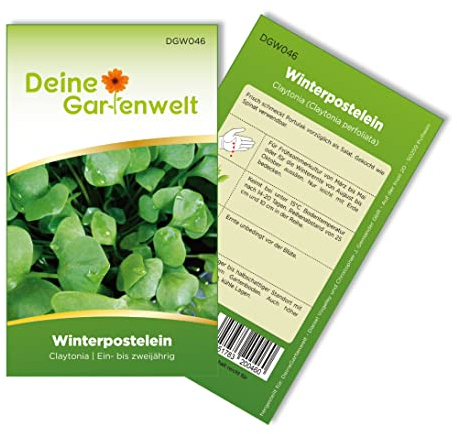 Winterpostelein Winterportulak Samen - Claytonia perfoliata - Portulaksamen - Gemüsesamen - Saatgut für 250 Pflanzen