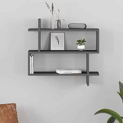 HOCUS PICUS Floating Wall Shelf, Wall Mounted Rectangle Modern Design, Bookshelf Storage Display Unit Decorative Wall Shelves, Bedroom, Living Room, Bathroom & Kitchen, Easy Assembly (Anthracite)