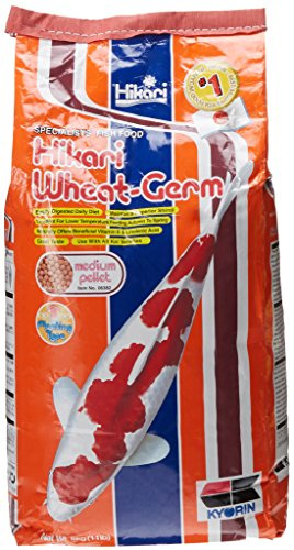 Hikari Usa Inc AHK06382 Wheat Germ 11lb, Medium