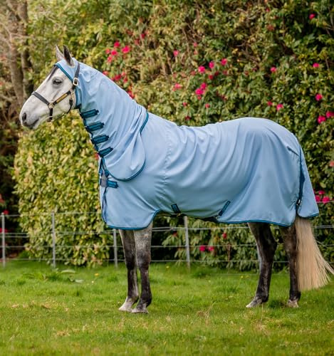 Horseware Amigo Ripstop Hoody Fliegendecke 145 cm, Azure Blue/Navy & Electric Blue