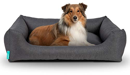 Hyggins Dreamer Pure Outdoor Hundebett | wasserabweisendes Hundekörbchen, pflegeleicht und abwischbar | Bezug abnehmbar und waschbar (S 60 x 44cm, Dunkelgrau)