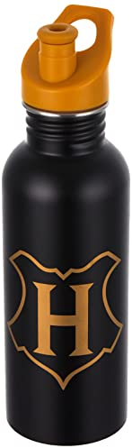 Pyramid International HARRY POTTER Metal Drinks Bottle I'd Rather Be At Hogwarts 700ml - Official Merchandise, MDB25986