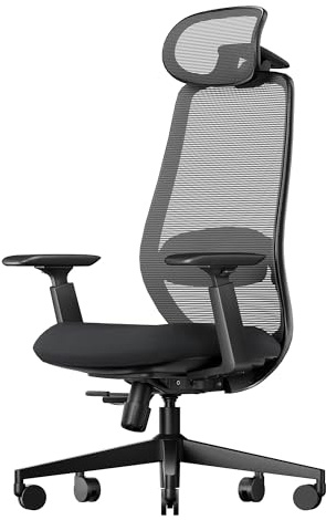 ProtoArc EC200 Bürostuhl Ergonomisch, Schreibtischstuhl mit Höhen- und Tiefenverstellbarer Lendenwirbelstütze, Sitztiefe, Höhenverstellbar, 3D-Kopfstütze, Computerstuhl für Home Office Chair, Schwarz