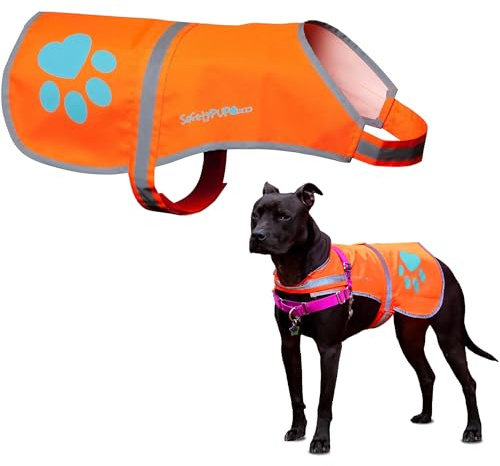 SafetyPUP XD Reflective Dog Vest. Hi-Visibility, Fluorescent Blaze Orange Dog Vest Helps Protect Your Best Friend. Safeguard Your PUP from Motorists & Hunting Accidents, On or Off Leash (Large)