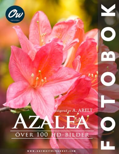 Azalea: Över 100 HD-bilder
