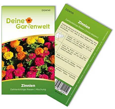 Zinnien Dahlienblütige Riesen, Mischung Samen - Zinnia elegans - Zinniensamen - Blumensamen - Saatgut für 70 Pflanzen