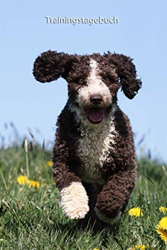 Trainingstagebuch: für Deinen Spanischen Wasserhund - mit Vorlagen schnell und einfach das Training dokumentieren (Spanischer Wasserhund - alle ... Krankenakte und Welpentagebuch, Band 1)