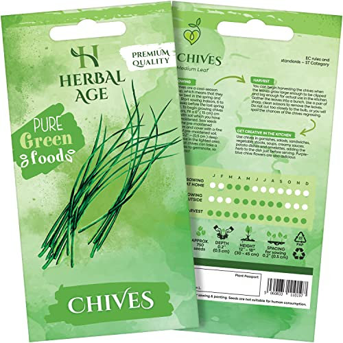 HERBAL AGE Chives Seeds Plants, Grow Your Own Herb Garden Kit, ~750 Seed Box, Salad Herbs for Planting UK, Veg Plant Gardening Gift for Men, Women, Kids, Seeds to Plant Outdoor & Indoor