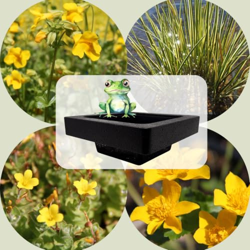 WASSERPFLANZEN WOLFF - FROG-ISLAND goldgelb- SCHWIMMINSEL inklusive Pflanzen - REIHERSCHUTZ - 4er-Mix mit Pflanzinsel - QUALITÄTSSTAUDEN im Pflanzkorb - Frosch-Insel für Gartenteich