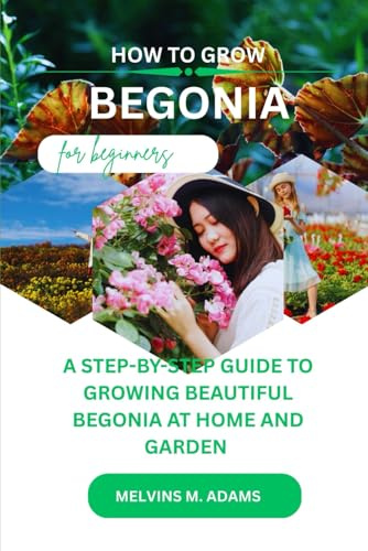 How to grow begonia flower for beginners: A Step-by-step Guide on how to grow beautiful begonia at home and garden