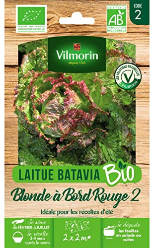 Vilmorin Sachet graines Laitue Blonde à Bord Rouge 2 Bio - Lactuca Sativa