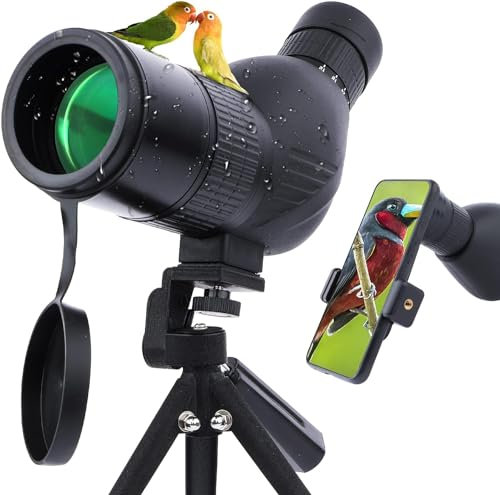 12-36x50 Spektive mit Stativ-Tragetasche und Smartphone-Adapter, gerades Spektiv für Zielschießen, Jagd, Vogelbeobachtung