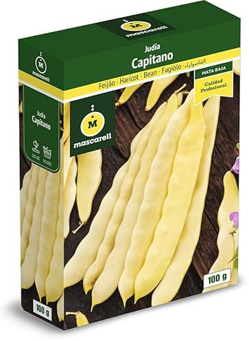 Mascarell Semillas, JUDÍA CAPITANO, Semillas Leguminosas, Fácil de Cultivar en Casa, 100 G.