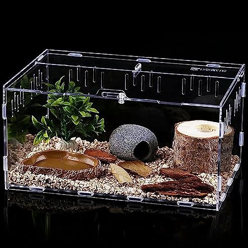 Caja de alimentación para Reptiles,Caja de Transporte acrílica Transparente de,Adecuada para lagartos, arañas, Ranas con Cuernos y escarabajos. (30cm x 20cm x 15cm)