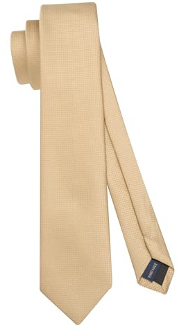 HISDERN Champagne Tie Skinny Ties Slim Necktie For Men Solid Silk Classic Formal Neckties for Wedding Party Business (6cm)