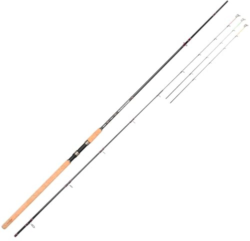 Spro Rute Classica Aal Power 3.00cm 200g - Angelrute zum Aalangeln, Aalrute, Picker-Rute