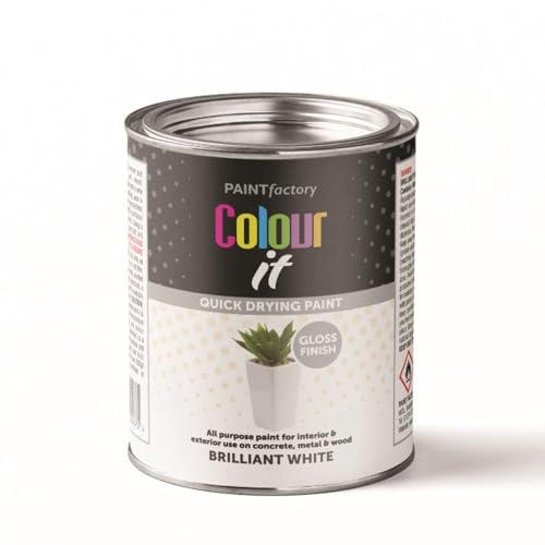 PF Paint Factory Colour It Tin Gloss White 300ML | Durable Quick-Drying Brush-On Paint for Interior & Exterior Multi-Purpose Use