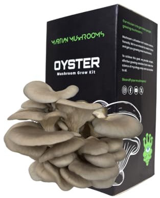 Martian Mushrooms | Blue Oyster Mushroom Grow Kit – Large 2kg | Beginner Friendly, Easy Indoor Growing Kit | Cut & Spray | Harvest in 14 Days | Grows Fresh Gourmet Mushrooms | Great Gift