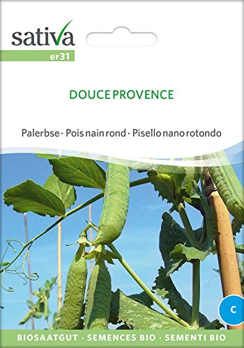 Palerbse Douce Provence | Bio-Erbsensamen