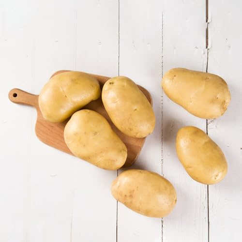 semillas de patatas de siembra-macetas,de jardín Maceta,decorativas.resistentes en macetas,decorativas.350pcs