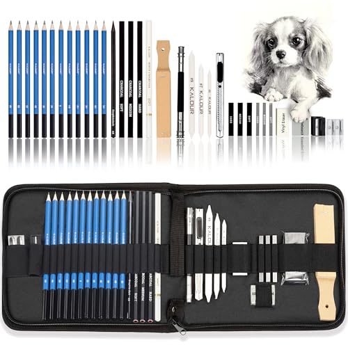 KALOUR 33-teiliges Profi-Zeichen-Set mit Skizzierstiften, tragbarer Reißverschluss-Reisetasche - Kohlestifte, Zeichenstifte, Radiergummi. Kunstbedarf für Künstler, Anfänger und Erwachsene