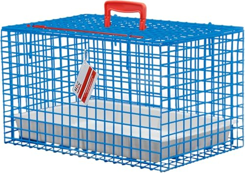 MDC Cat Carrier, all round view, great for travel, ideal for vets visits, top opening, Blue, Clear
