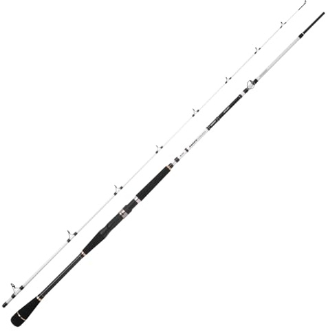 Spro Salty Beast Nano Jig BC 240cm 150g - Meeresrute, Baitcasterrute, Spinnrute, Pilkrute, Salzwasserrute, Rute zum Hochseeangeln, Jigrute