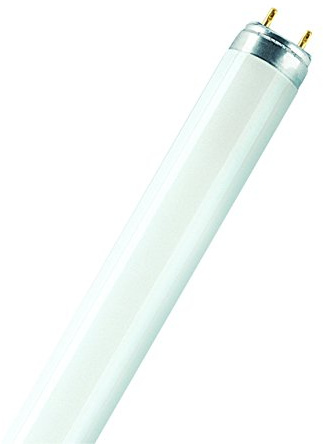 Osram 024427 Bombilla LED G13, 19.1 W, Blanco, 10 Unidades