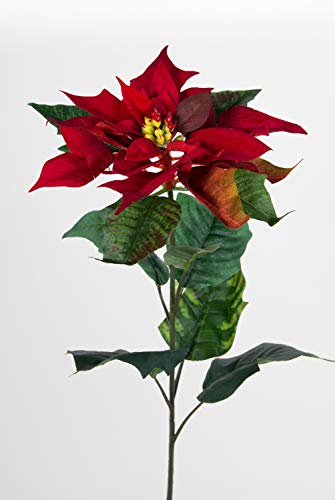 Seidenblumen Roß 12 Stück Weihnachtsstern Natura 72cm samt-rot PM Kunstblumen künstliche Blumen Poinsettie