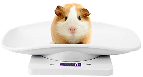 Pèse bébé numérique enfant animaux max. 10 kg arrêt et fonction Tare automatique balance bébé poids, pour Animaux Chats Chiens Cochon d'Inde Hamster et La Cuisine Mesurant,Capacité Jusqu'à 10kg
