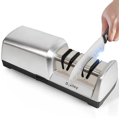 Electric Knife Sharpener for Kitchen – Professional 2-Stage 100% Diamond System with 20° Precision Angle, Fast Sharpening to Restore & Polish Chef Knives (2-Stage Silver)