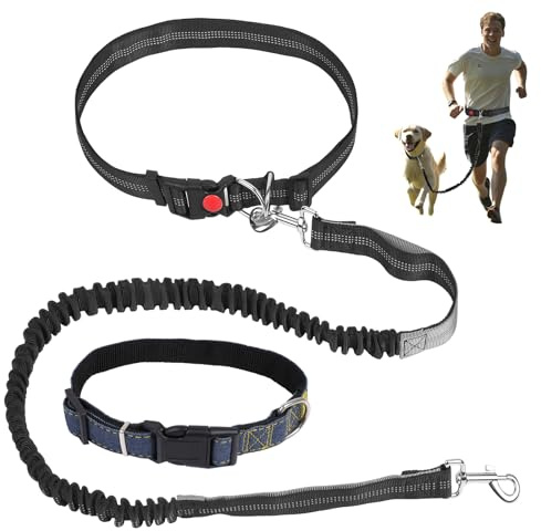 Hands Free Dog Lead with Collar, 1.24m to 1.75m, for Medium & Large Dogs