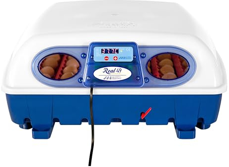 Borotto Real 49 Semi-Automatique - Incubateur Professionnel breveté avec Dispositif pour Retourner Les Oeufs à Levier - pour 49 Oeufs ou 196 Oeufs Petits