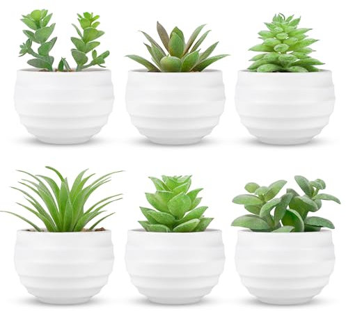 BTSD-home Artificial Succulent Plants in pots 6 Pack Small Faux Plants for Home Office Shelf Bathroom Decor