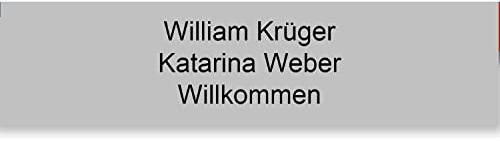 Plaque Boîte aux Lettres Personnalisable De 1 À 3 Lignes – Nom Gravé – Adhésive PVC – 10 x 2,5 cm (Gris Mat)