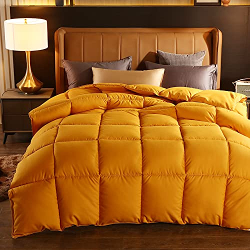 Piumone Piumino In Piuma D'Oca Per 4 Stagioni-Trapunta Matrimoniale Primaverile-Piumone Letto Matrimoniale Invernale 220x240 Cm - Piumino Caldissimo, Trapunta In Microfibra Sintetica-Regalo Di Comple