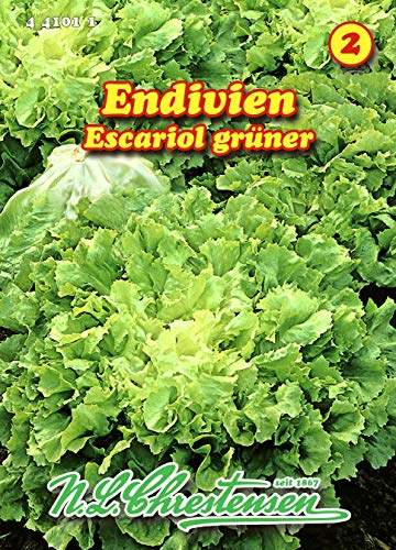 Endivien, Escariol grüner, Winterendivie N.L.Chrestensen Samen 441011-B