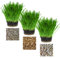 Cat FurNature - Pet Grass Variety Pack